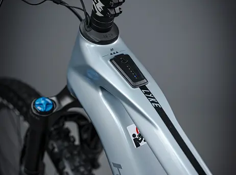 Haibike LYKE CF 11 - carbon/sand/lime - gloss