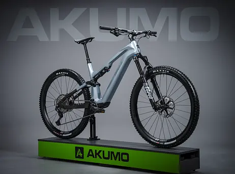 Haibike LYKE CF 11 - carbon/sand/lime - gloss