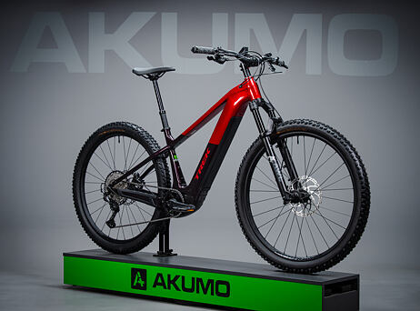 TREK Powerfly+ 8 Gen 5, 29" - Crimson/Dark Carmine