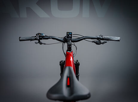 TREK Powerfly+ 8 Gen 5, 29" - Crimson/Dark Carmine